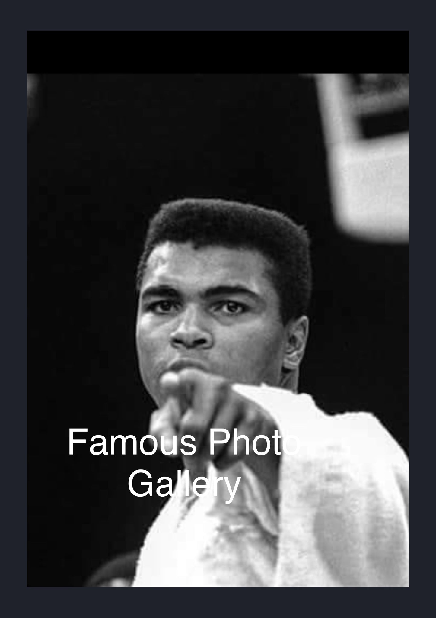 Muhammad Ali 16x20 Picture/Frame