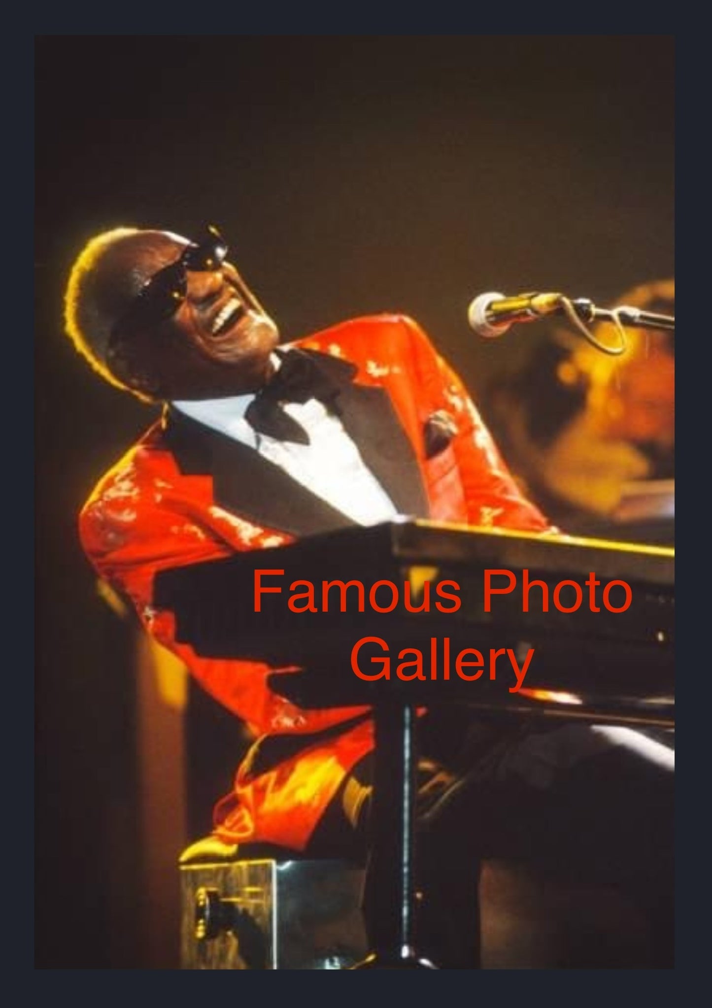 Ray Charles 16x20 Picture/Frame