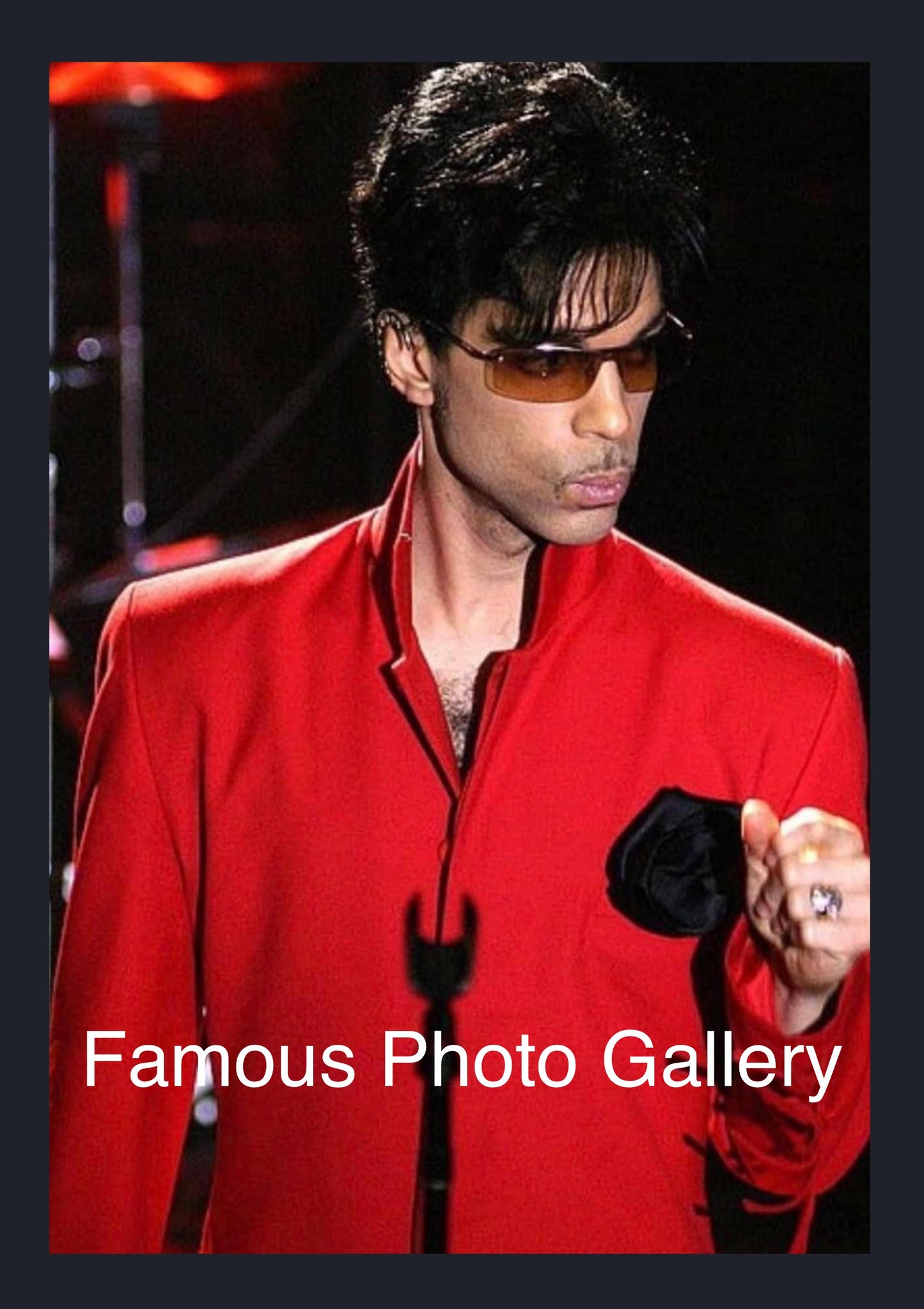 Prince 16x20 Picture/Frame