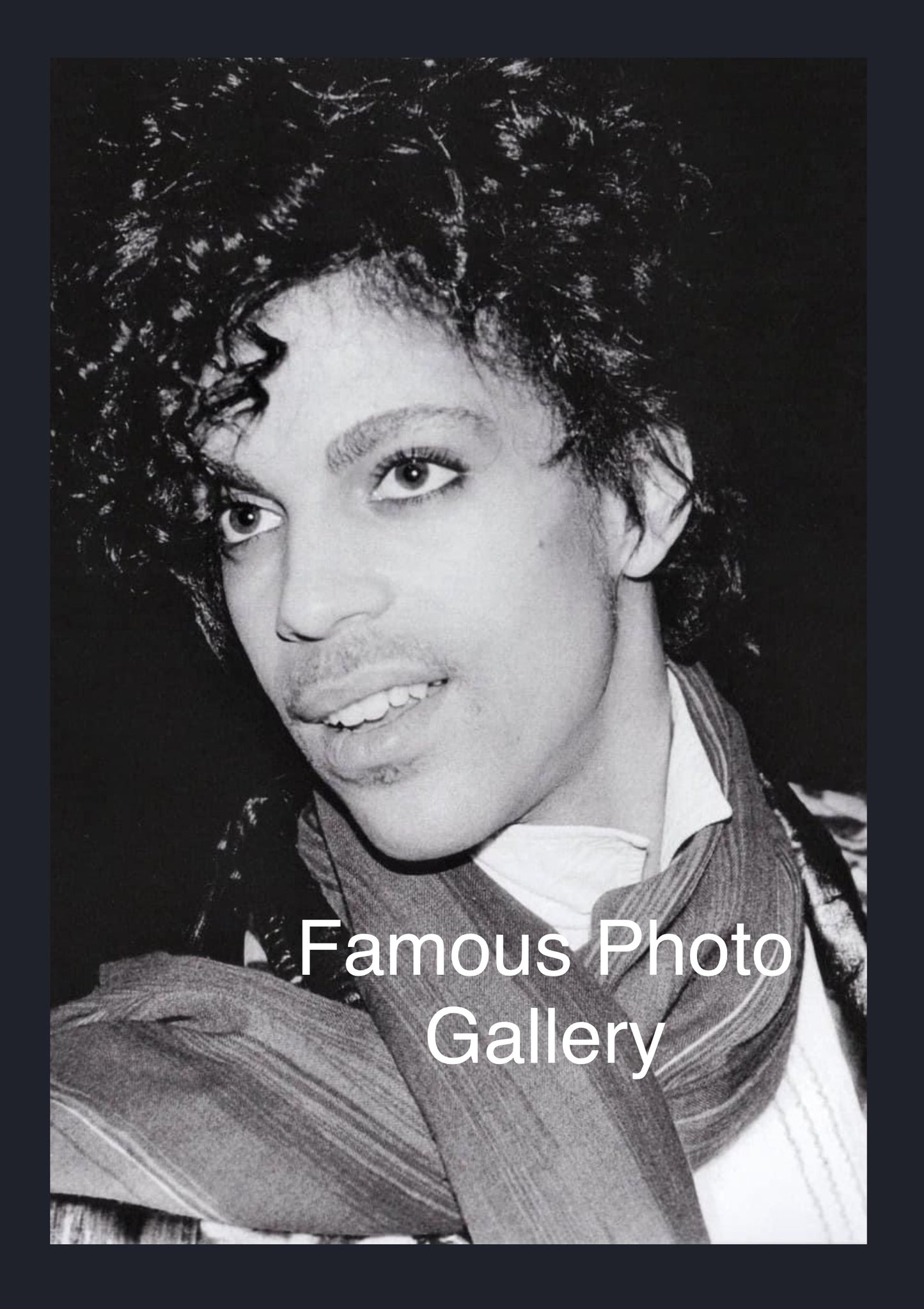 Prince 16x20 Picture/Frame