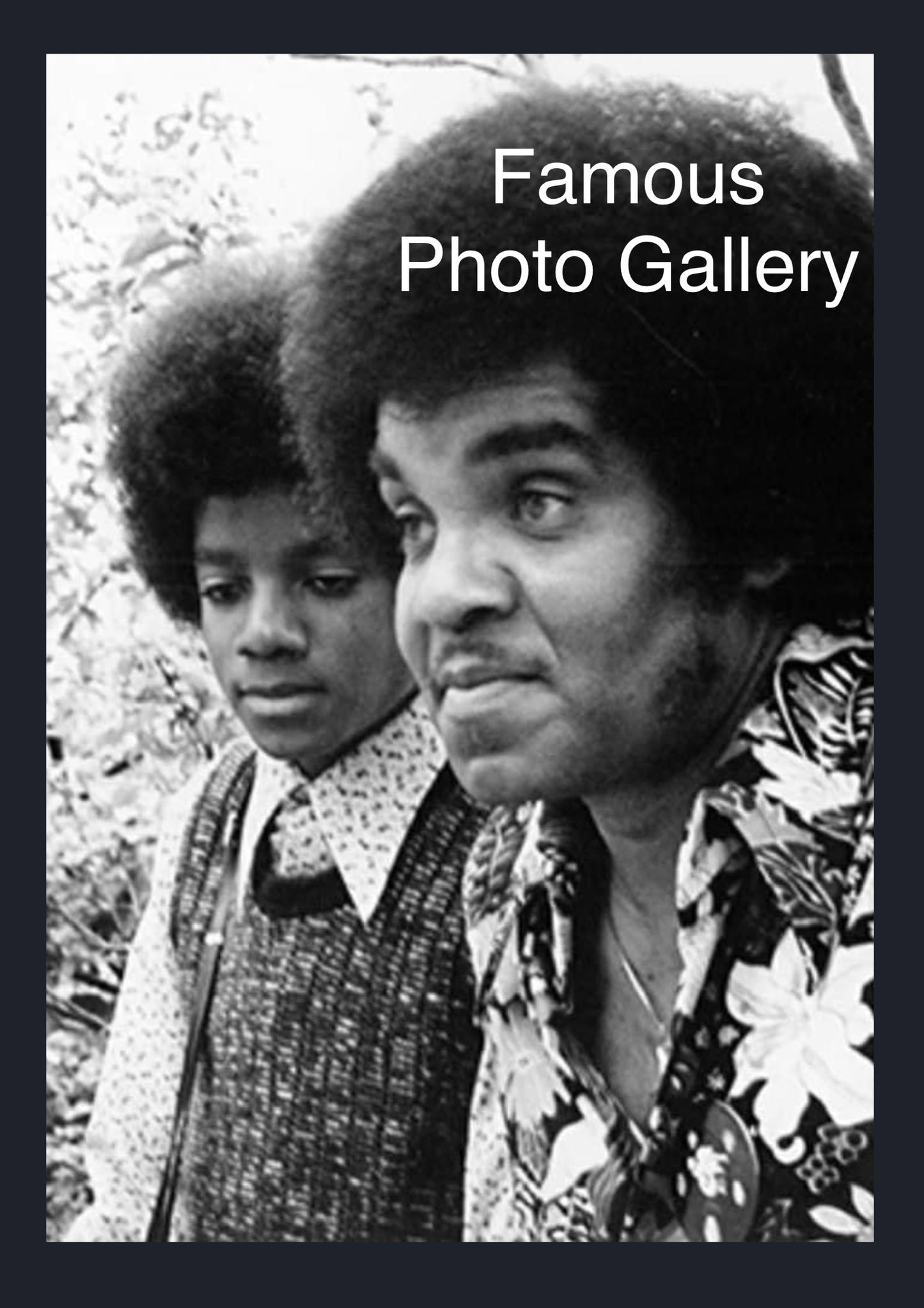 Michael & Joe Jackson 16x20 Picture/Frame