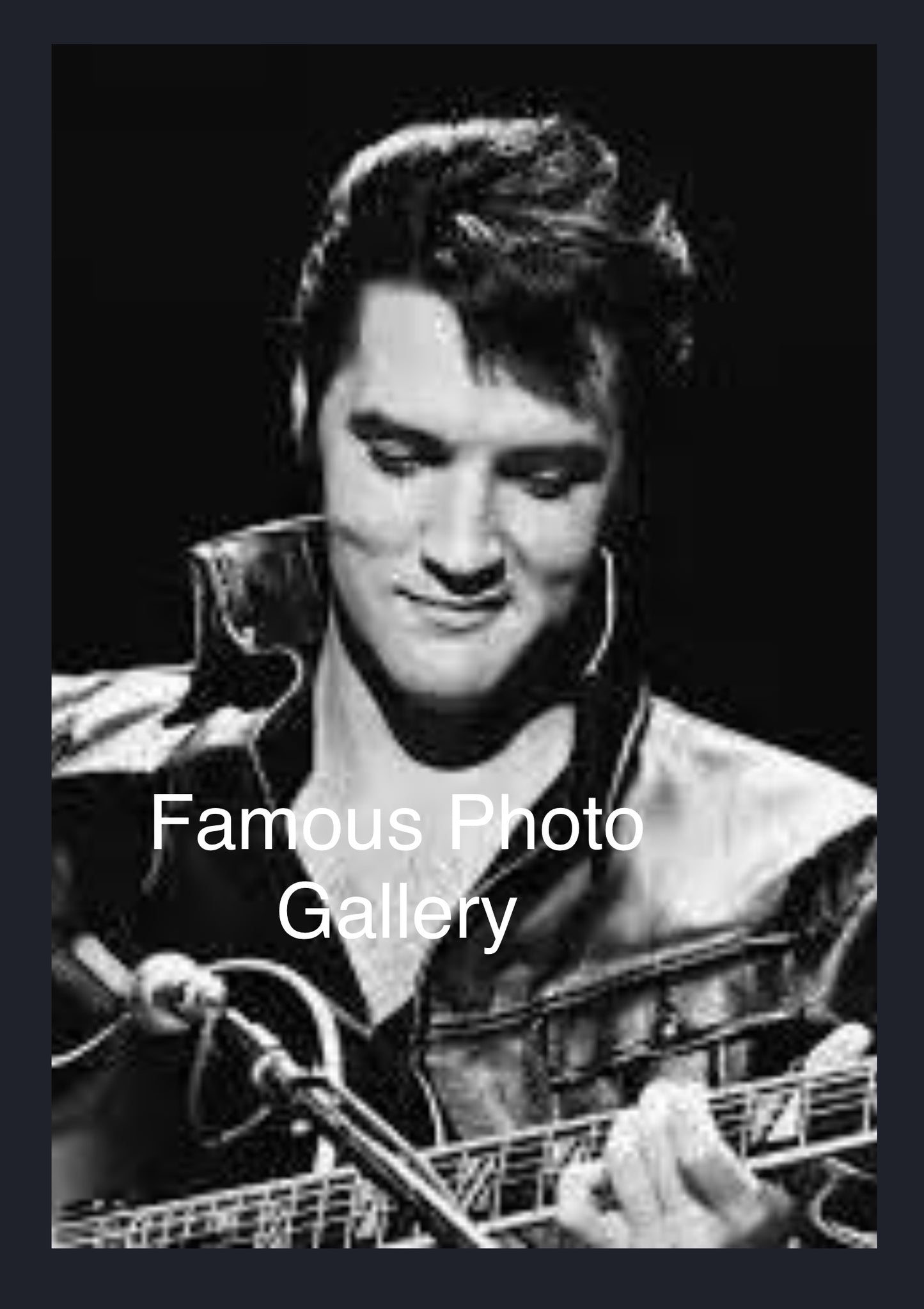 Elvis Presley 16x20 Picture/Frame