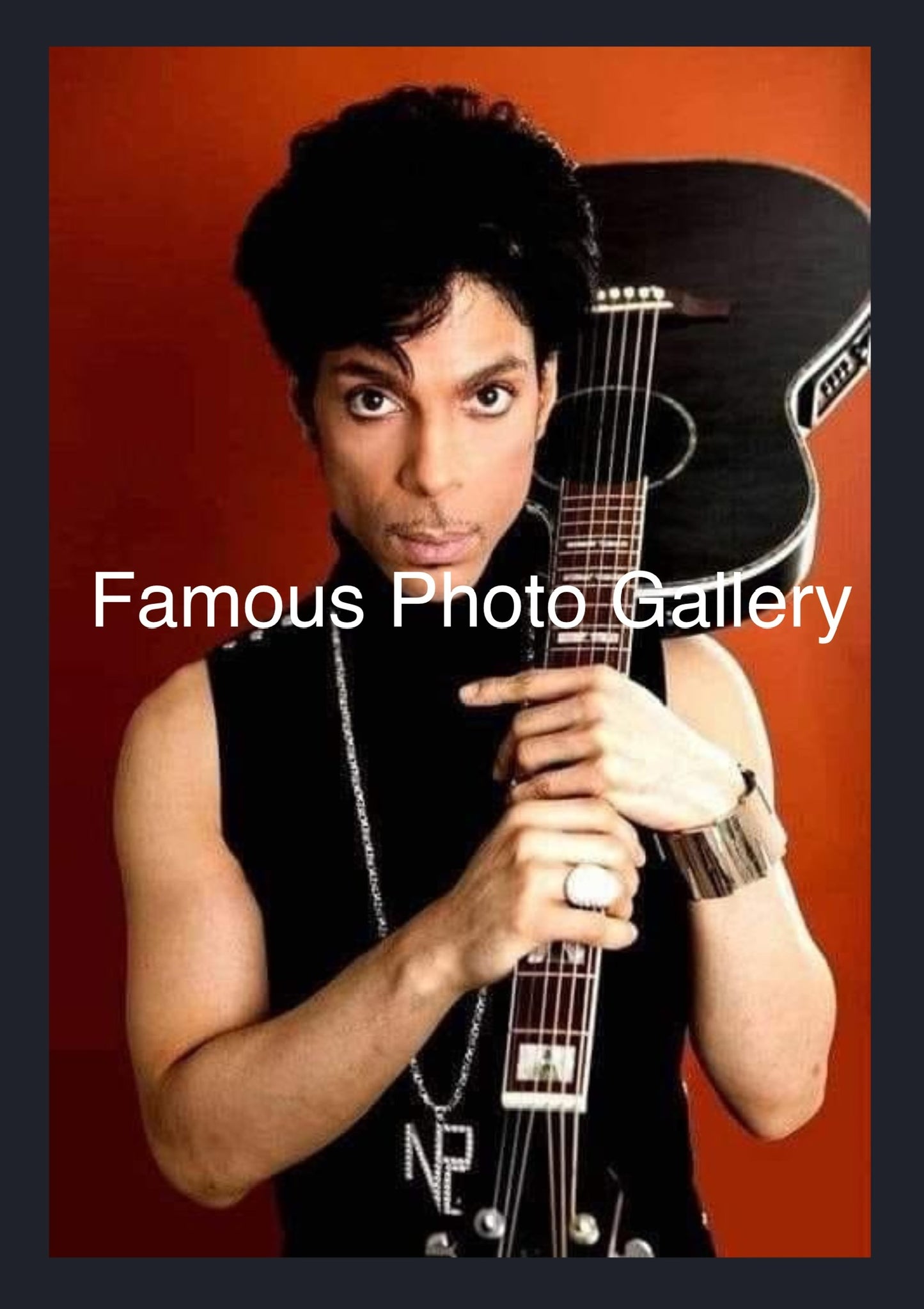 Prince 16x20 Picture/Frame