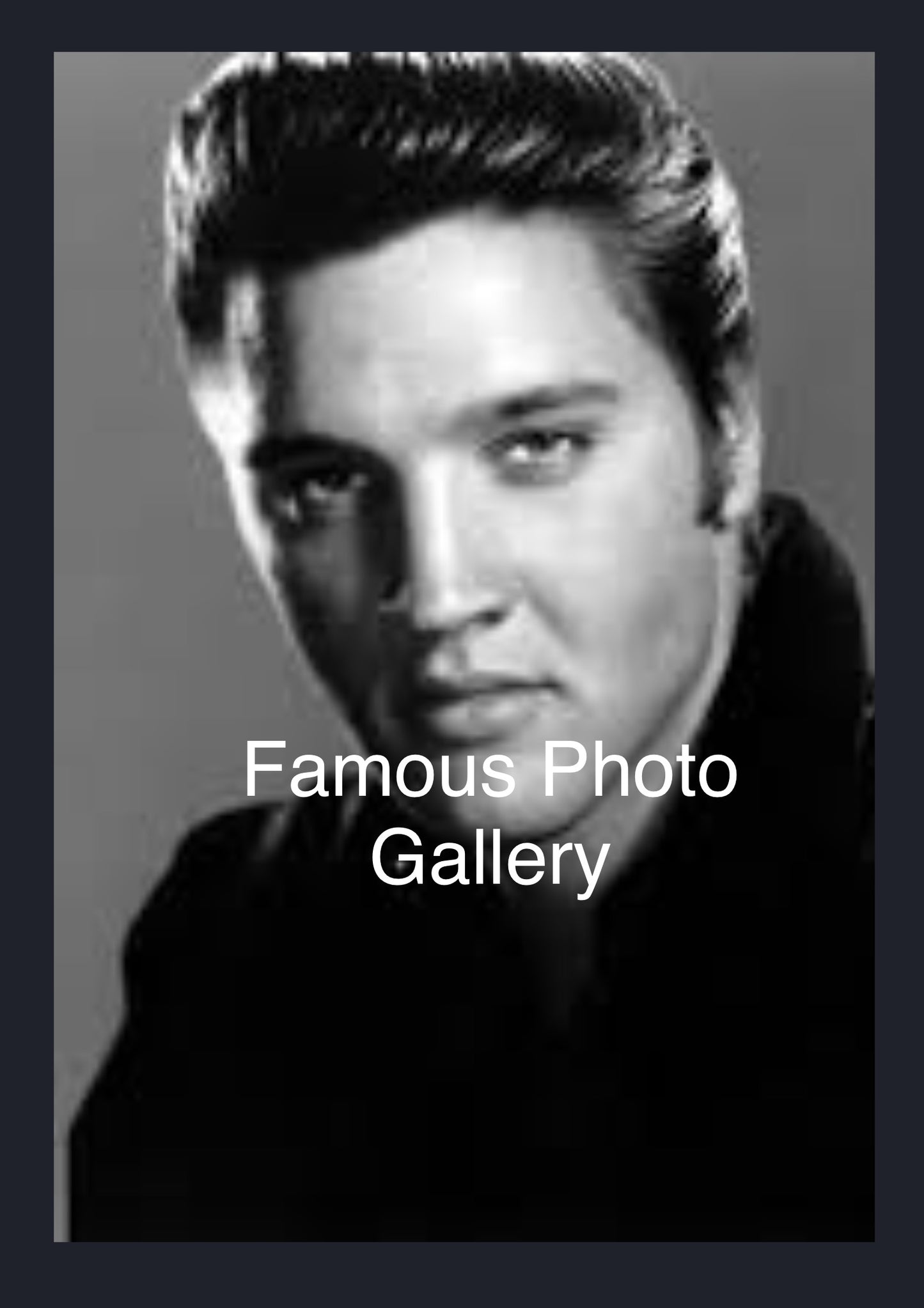 Elvis Presley 16x20 Picture/Frame