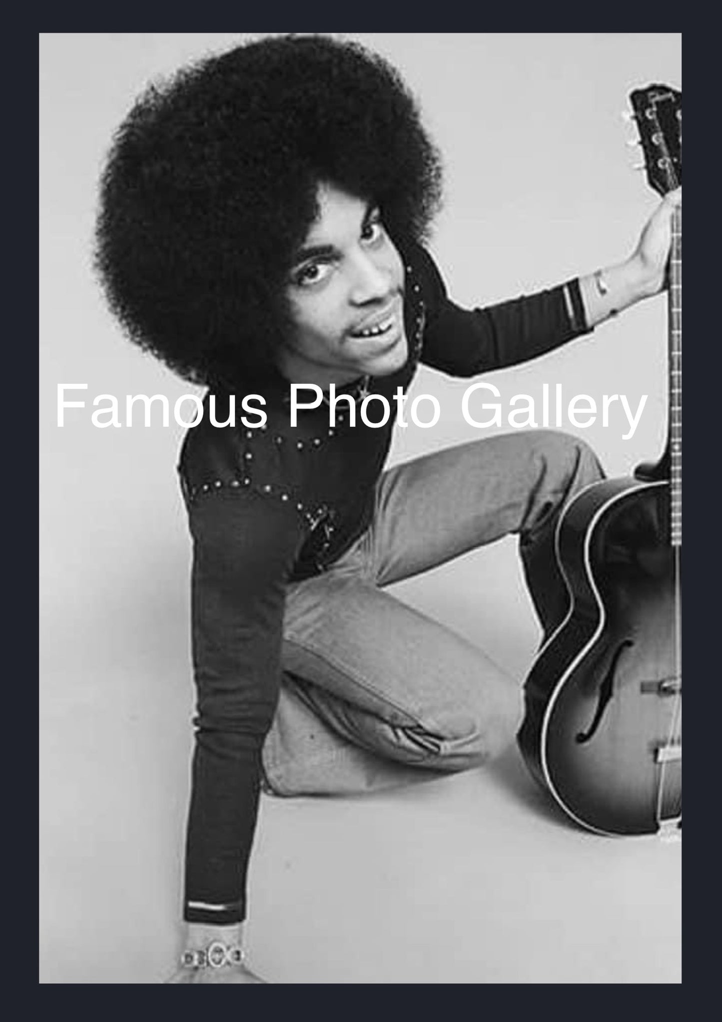 Prince 16x20 Picture/Frame