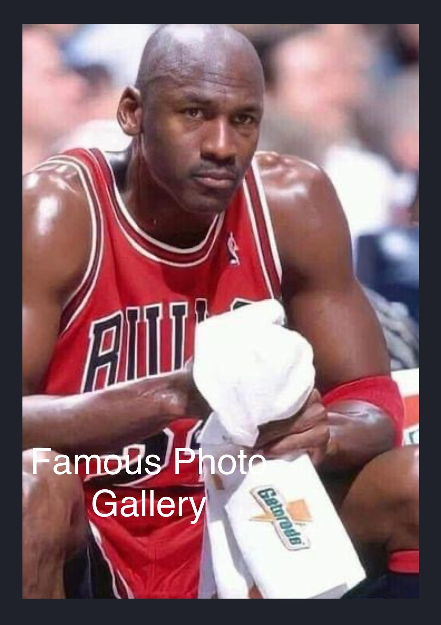 Michael Jordan 16x20 Picture/Frame