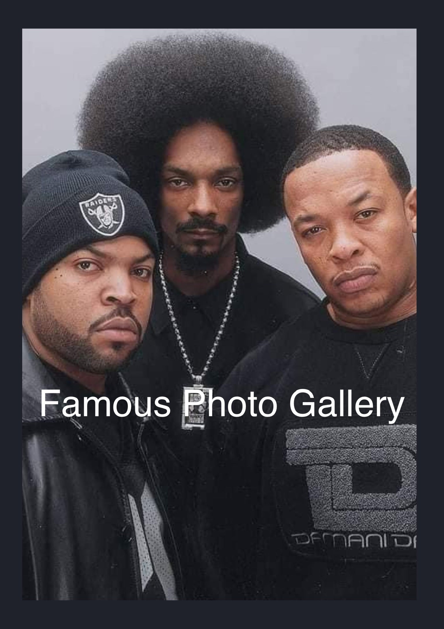 Ice Cube Snoop Dogg Dr Dre 16x20 Picture Frame The Famous Photo ice-cube-snoop-dogg-dr-dre-16x20-picture-frame-the-famous-photo