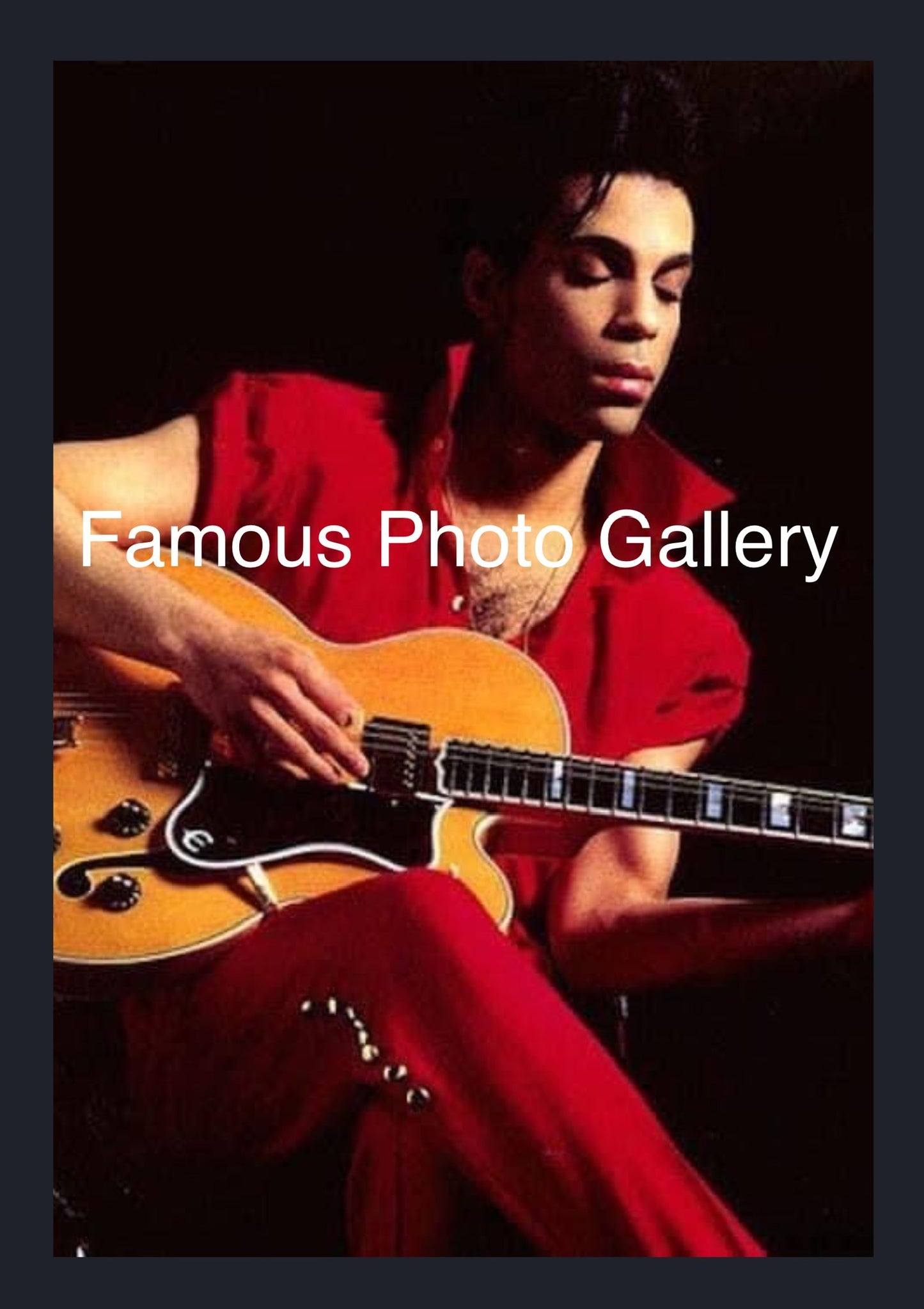 Prince 16x20 Picture/Frame