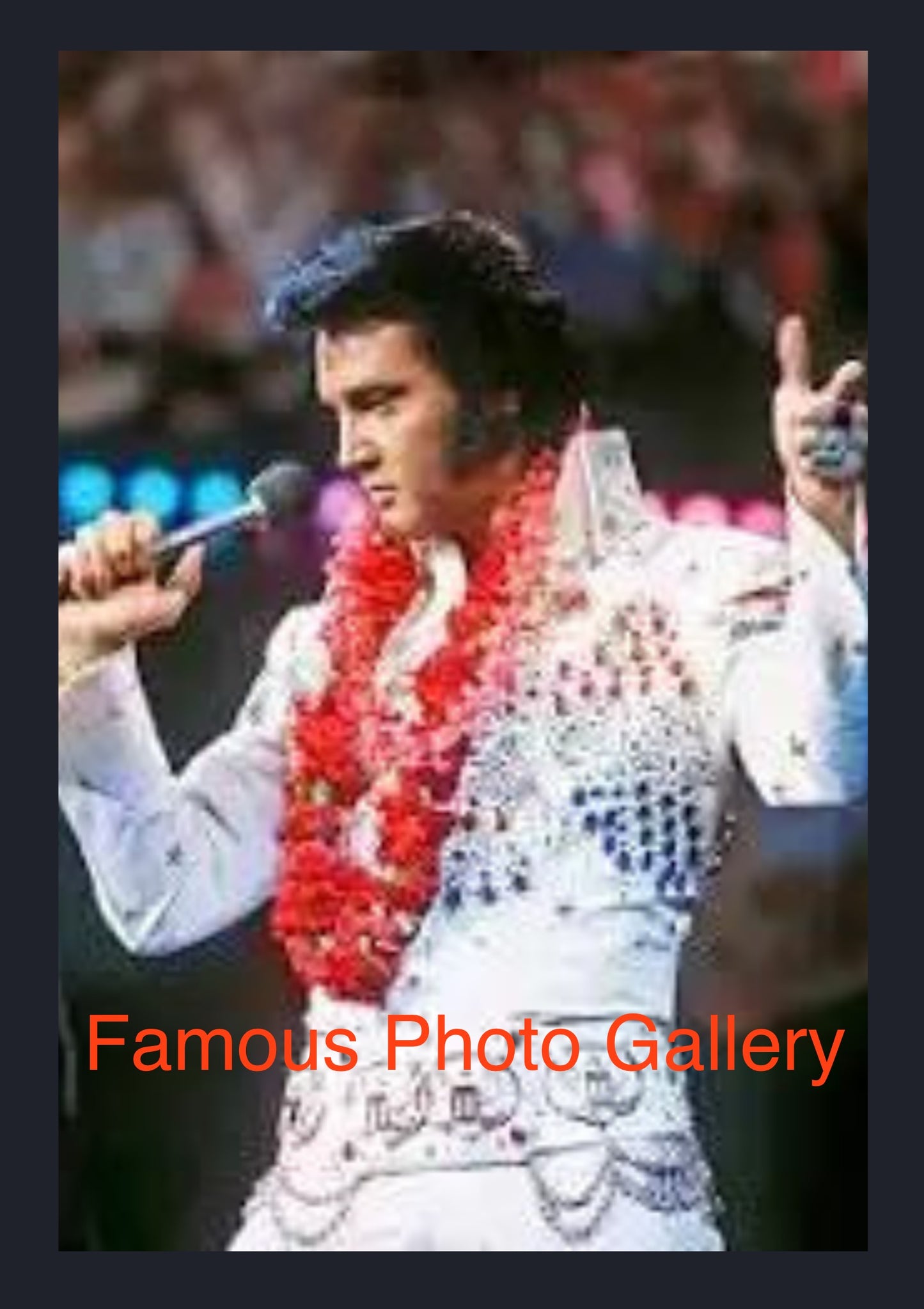 Elvis Presley                      16x20 Picture/Frame