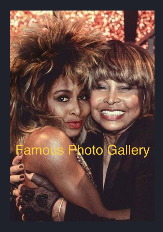 Tina Turner (Then & Now) 16x20 Picture/Frame